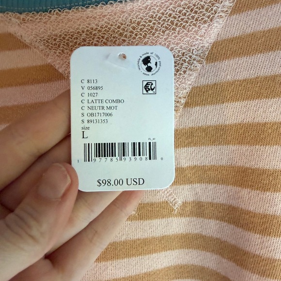 Free People We The Free Striped Oversized Pullover Sweatshirt Pink Tan Blue L - Picture 3 of 10